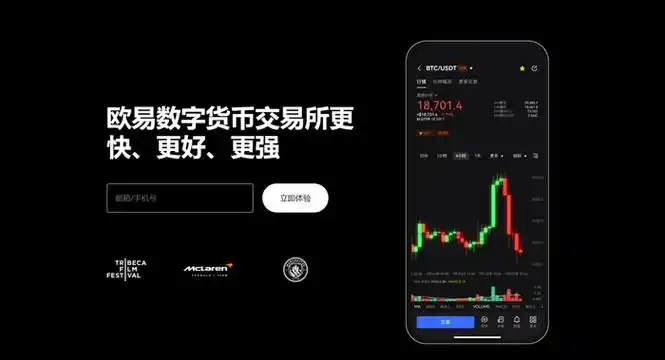 OE钱包下载官网入口页面展示